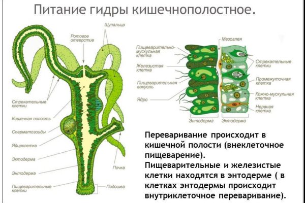 Кракен правильная