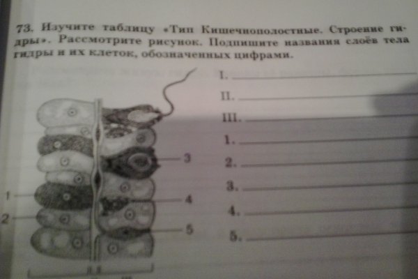 Даркнет официальный сайт вход