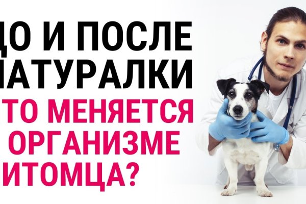 Кракен маркетплейс официальный сайт сайт ссылка