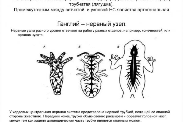 Рабочая ссылка на кракен